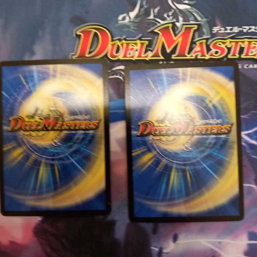 シャコガイル二枚セット