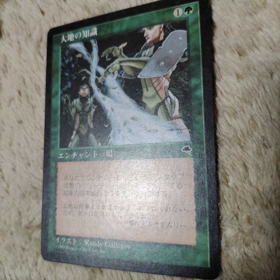 MTG 大地の知識　日本語　専用