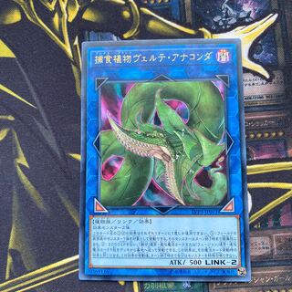 捕食植物ヴェルテ・アナコンダ