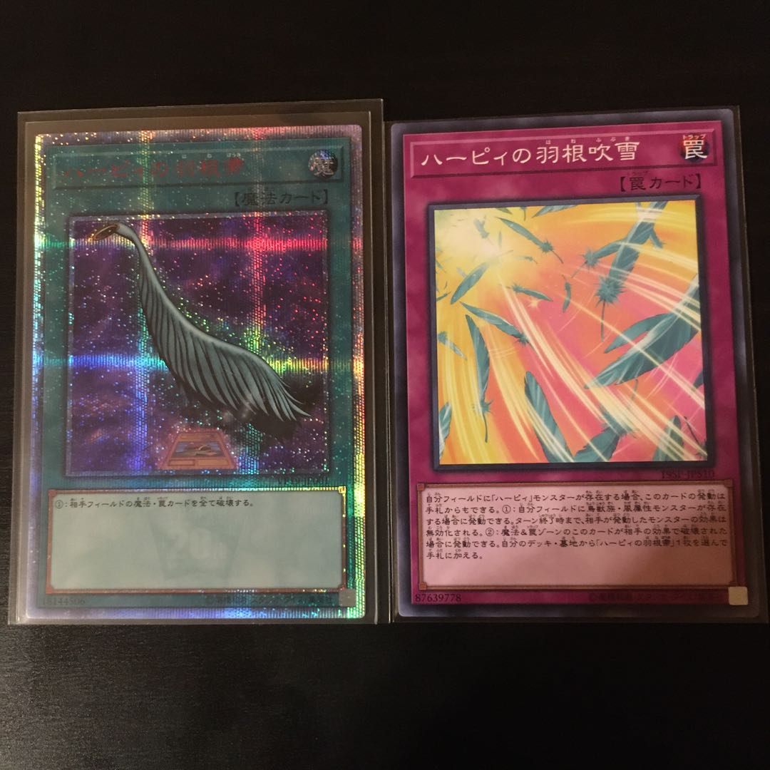 専用品 ハーピィの羽根帚 20th ハーピィの羽根吹雪 ノーマル セット