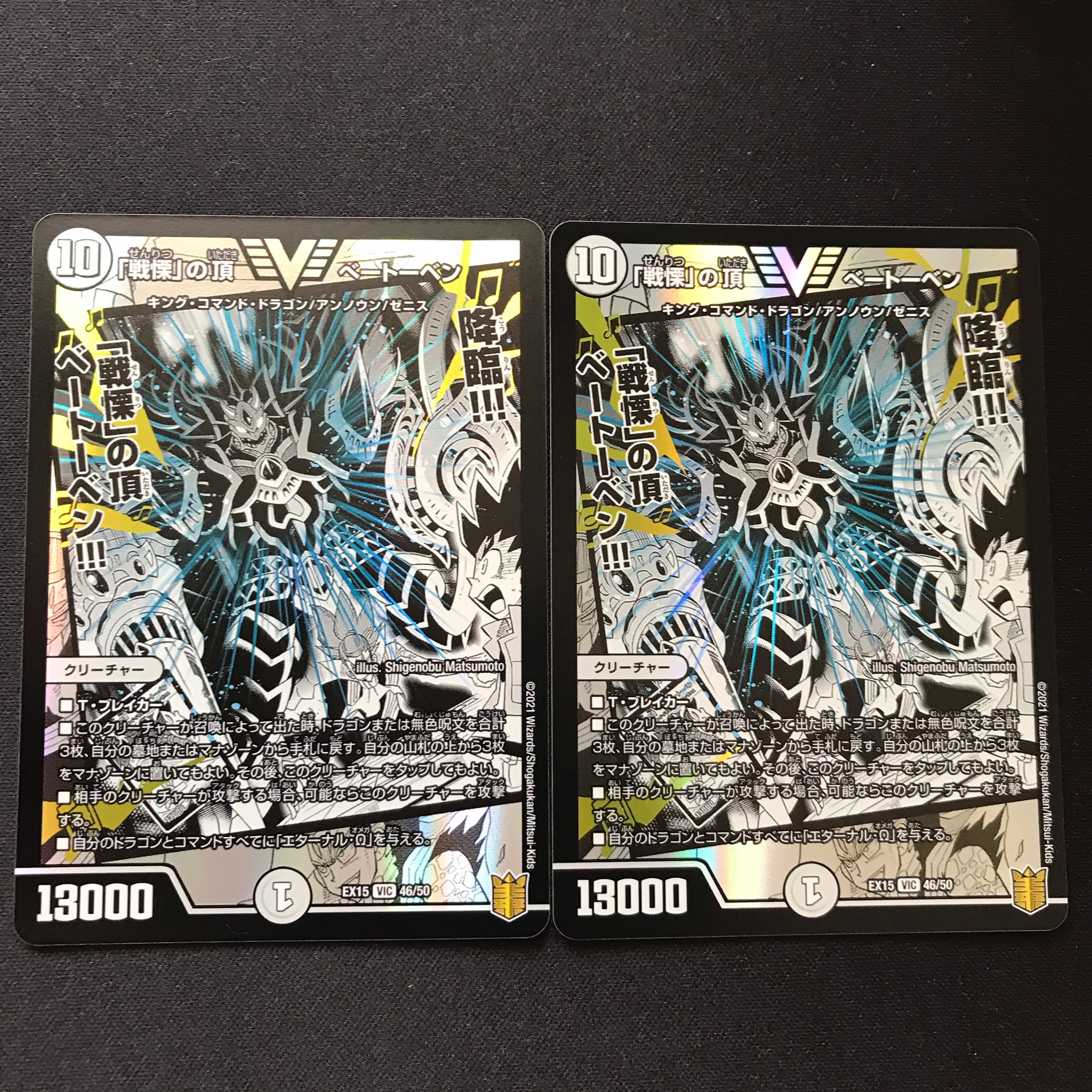 「戦慄」の頂 ベートーベン VIC