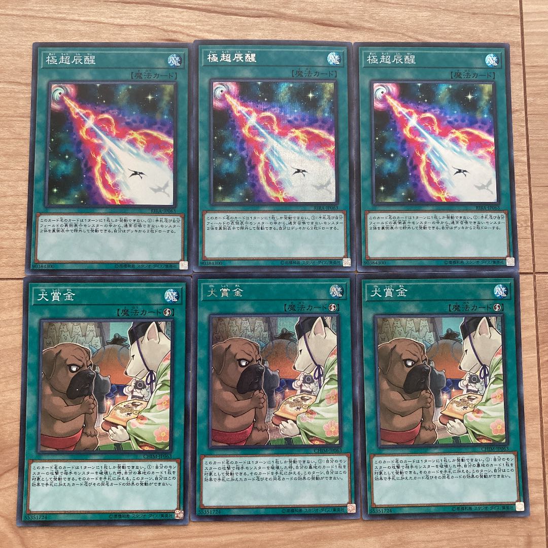 極超辰醒　犬賞金　シク　スーパー