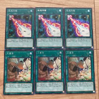 極超辰醒　犬賞金　シク　スーパー