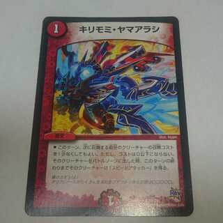 キリモミ・ヤマアラシ