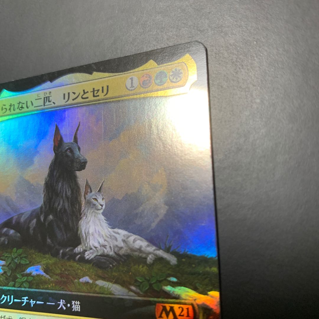 Rin and Seri, Inseparable