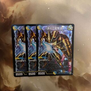 「雷光の聖騎士」