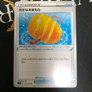 鴨ポケモン専門店様専用　大きなおまもり×2.リセスタ×2