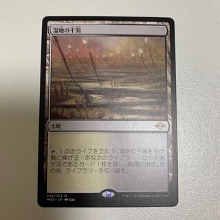 湿地の干潟　モダンホライゾン2