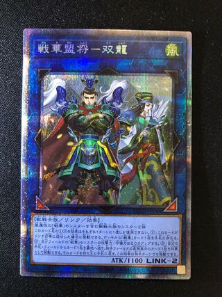遊戯王　戦華盟将-双龍　PSE
