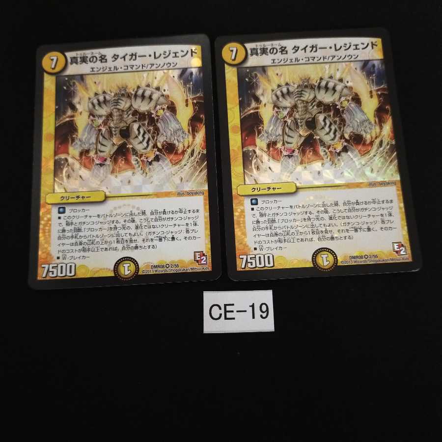 真実の名 タイガー・レジェンド 2枚 CE019