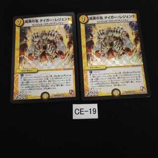 真実の名 タイガー・レジェンド 2枚 CE019
