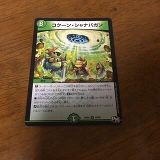 コクーン・シャナバガン