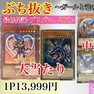 【ゆうき様専用2口ぶち抜き〜ガールと竜の出会い〜】