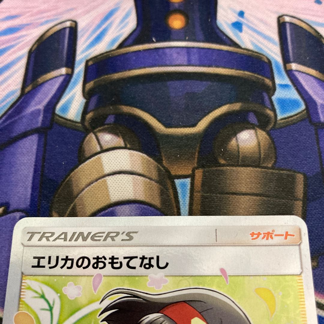 Erika's Hospitality SR