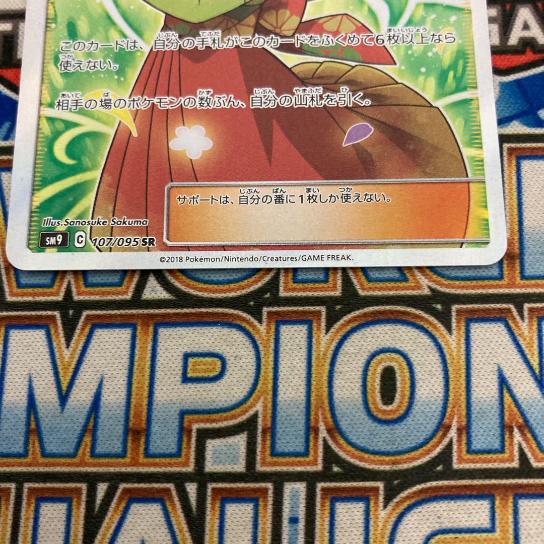 Erika's Hospitality SR