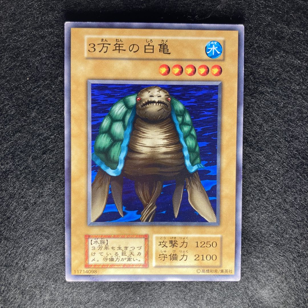 初期 3万年の白亀#246 1枚