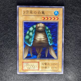 初期　3万年の白亀#246 1枚
