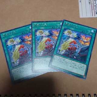 煉獄の災天 レア