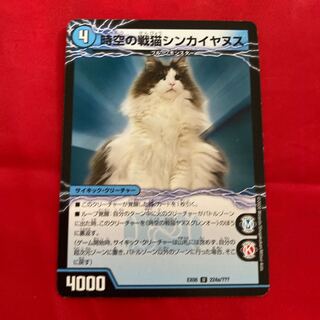 Space-time War Cat Shinkaiyanus｜Space-time War Cat Janus Glenor