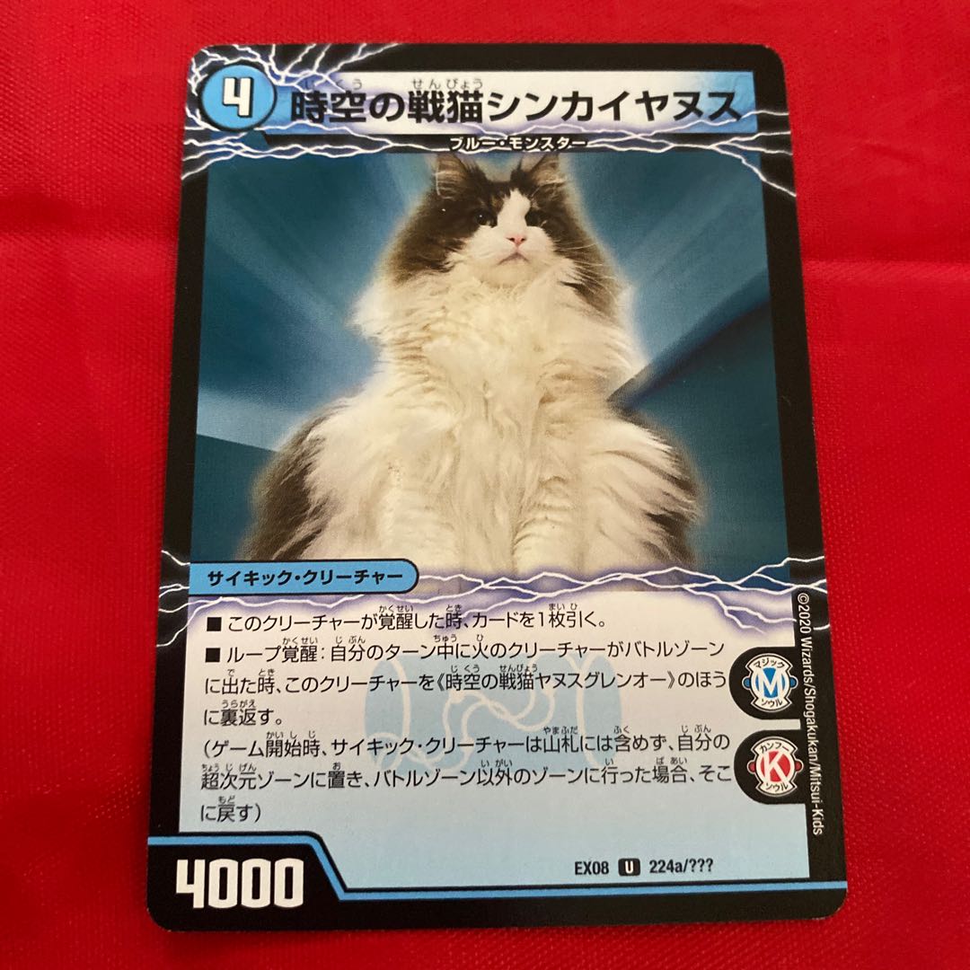 Spacetime War Cat Shinkayanus|Spacetime War Cat Janus Glen-O