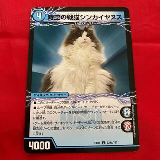 Spacetime War Cat Shinkayanus｜Spacetime War Cat Janus Glen-O