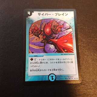 サイバーブレイン  52/110 [716]