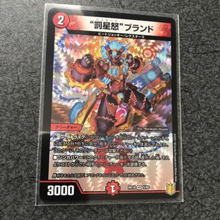 “罰星怒”ブランド VR