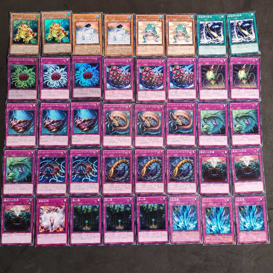 遊戯王 バージェストマ カエル デッキ
