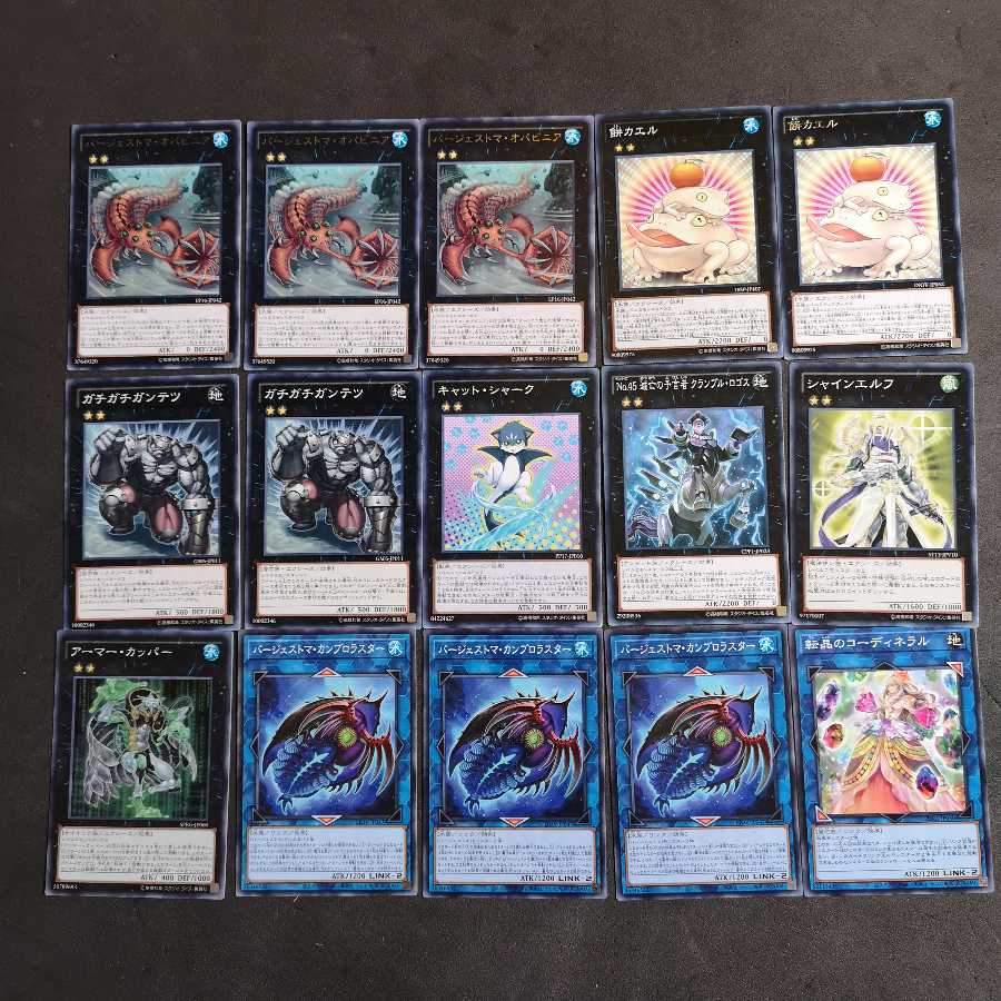 遊戯王 バージェストマ カエル デッキ