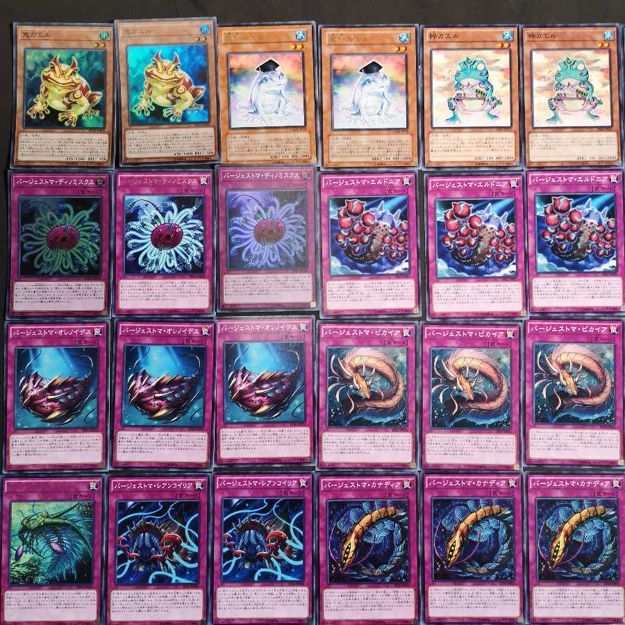 遊戯王 バージェストマ カエル デッキ