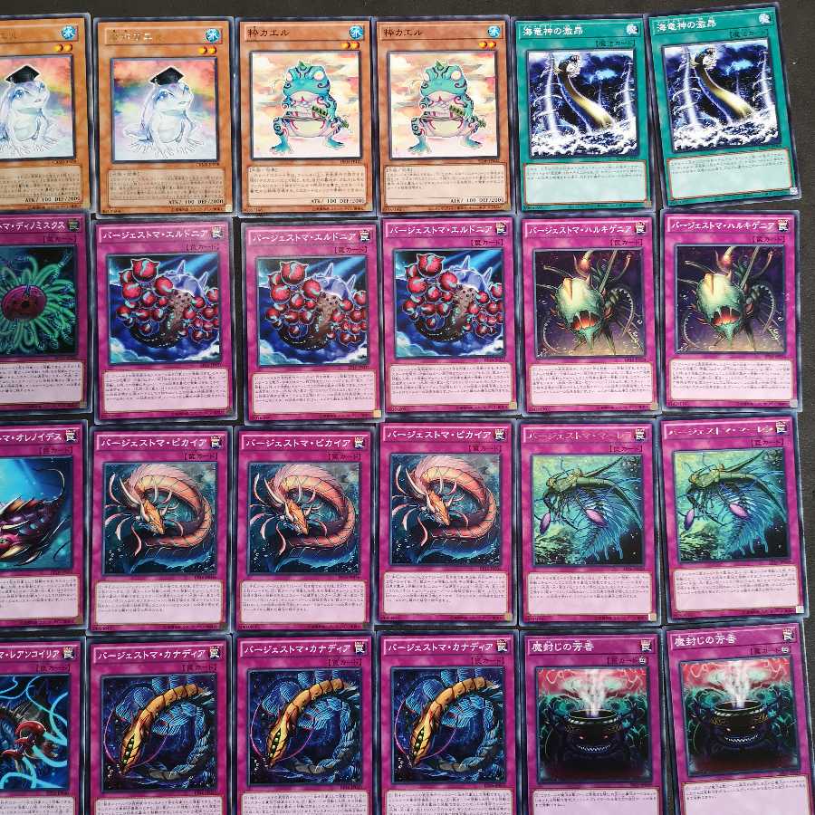 遊戯王 バージェストマ カエル デッキ