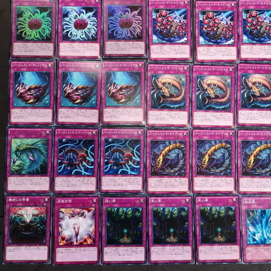 遊戯王 バージェストマ カエル デッキ