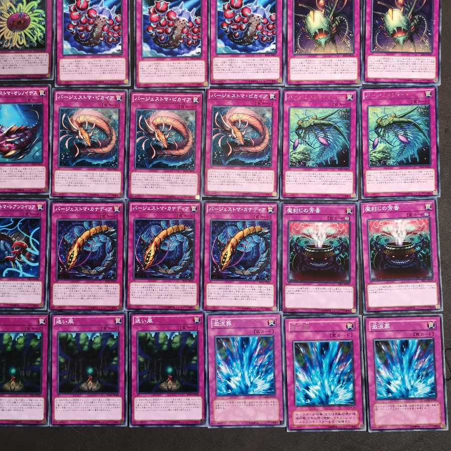 遊戯王 バージェストマ カエル デッキ