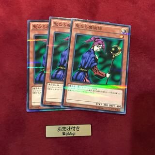 聖なる魔術師 パラレル ノーマル