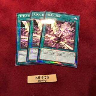 聖蔓の交配　ノーマルパラレル