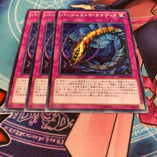遊戯王　バージェストマ・カナディア ノーマル　3枚セット　特価品