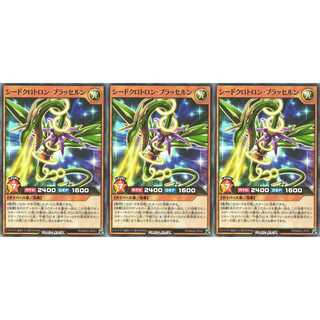 シードクロトロン・ブラッセルン スーパー 3枚 RD/MAX2 ケイトレード