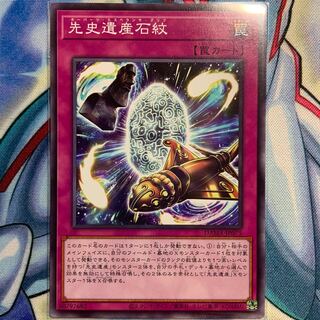 【N】先史遺産石紋 1枚 DAMA-JP075