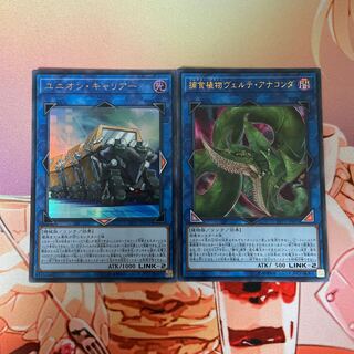 ヴェルテアナコンダ ユニオンキャリアー 各1枚