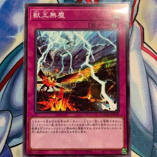 【N】獣王無塵 1枚 DAMA-JP078