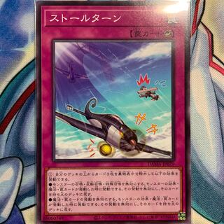 【N】ストールターン 1枚 DAMA-JP079