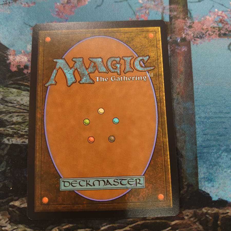 霧深い雨林 旧枠 Etching Foil 2枚セット