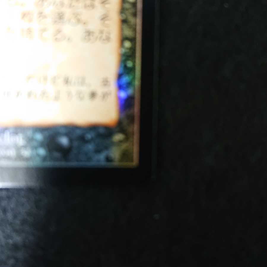 アボガ様専用 1枚