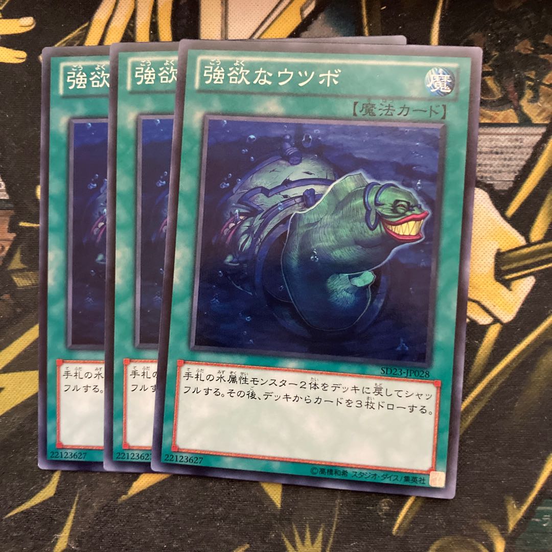 マドレース5209強欲なウツボ ノーマル