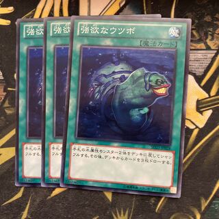 マドレース5209強欲なウツボ ノーマル