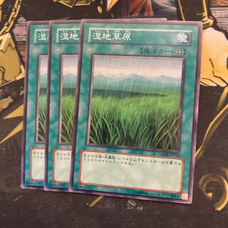 マドレース5211湿地草原 ノーマル