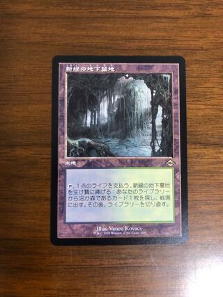 MTG Modern Horizon 2 Verdant Catacombs Old Frame Japanese