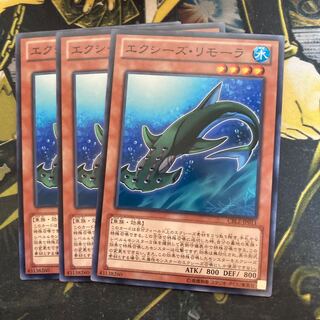 マドレース5233エクシーズ・リモーラ ノーマル