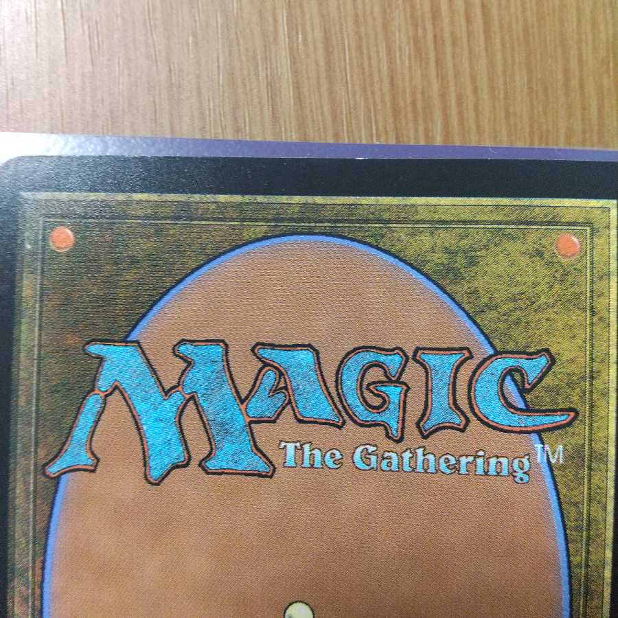 焦熱島嶼域 レア　日本版　1枚