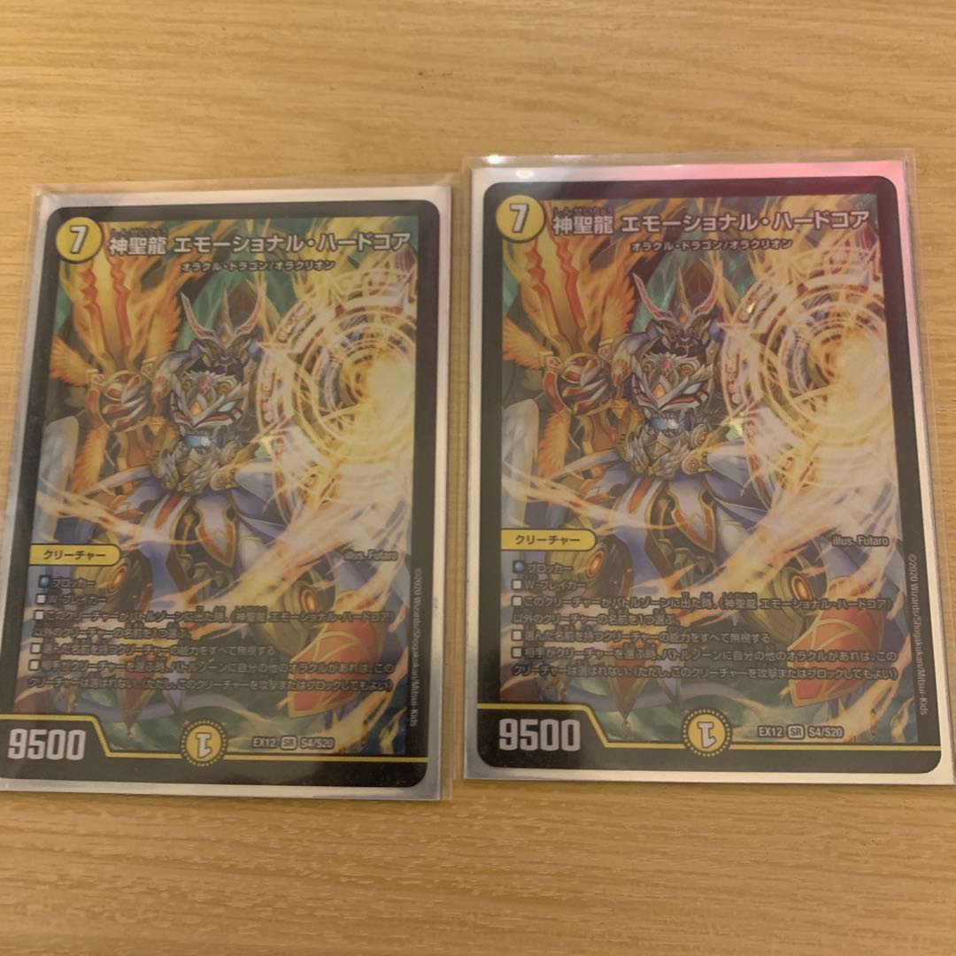 神聖龍 エモーショナル・ハードコア